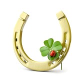 15254670-lucky-symbols--horse-shoe--four-leaf-clover-and-ladybug