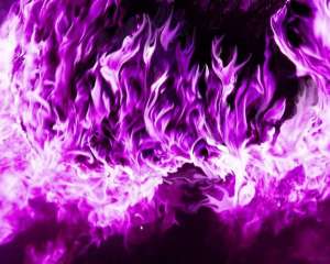 7-violet-purple-flames-tm-1-500-jpg